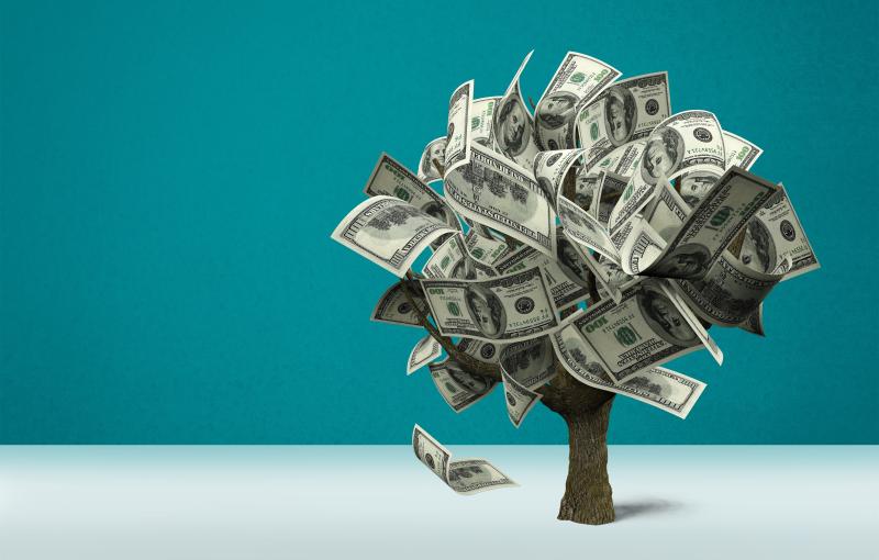 Money tree.