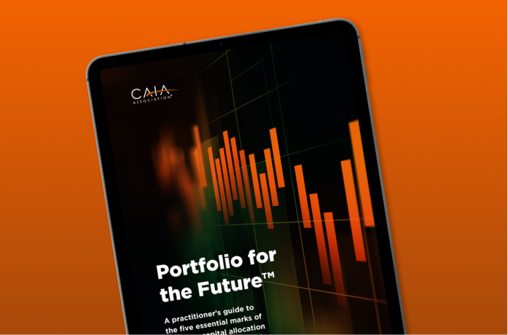Cover image of Portfolio for the Future report