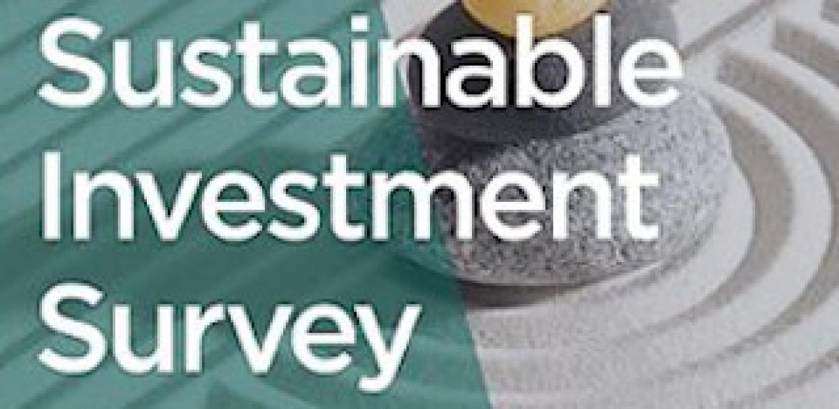Pitchbook: 2020 Sustainable Investment Survey