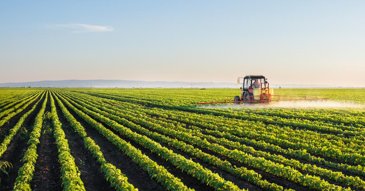 Investing in Agribusiness Trade Finance
