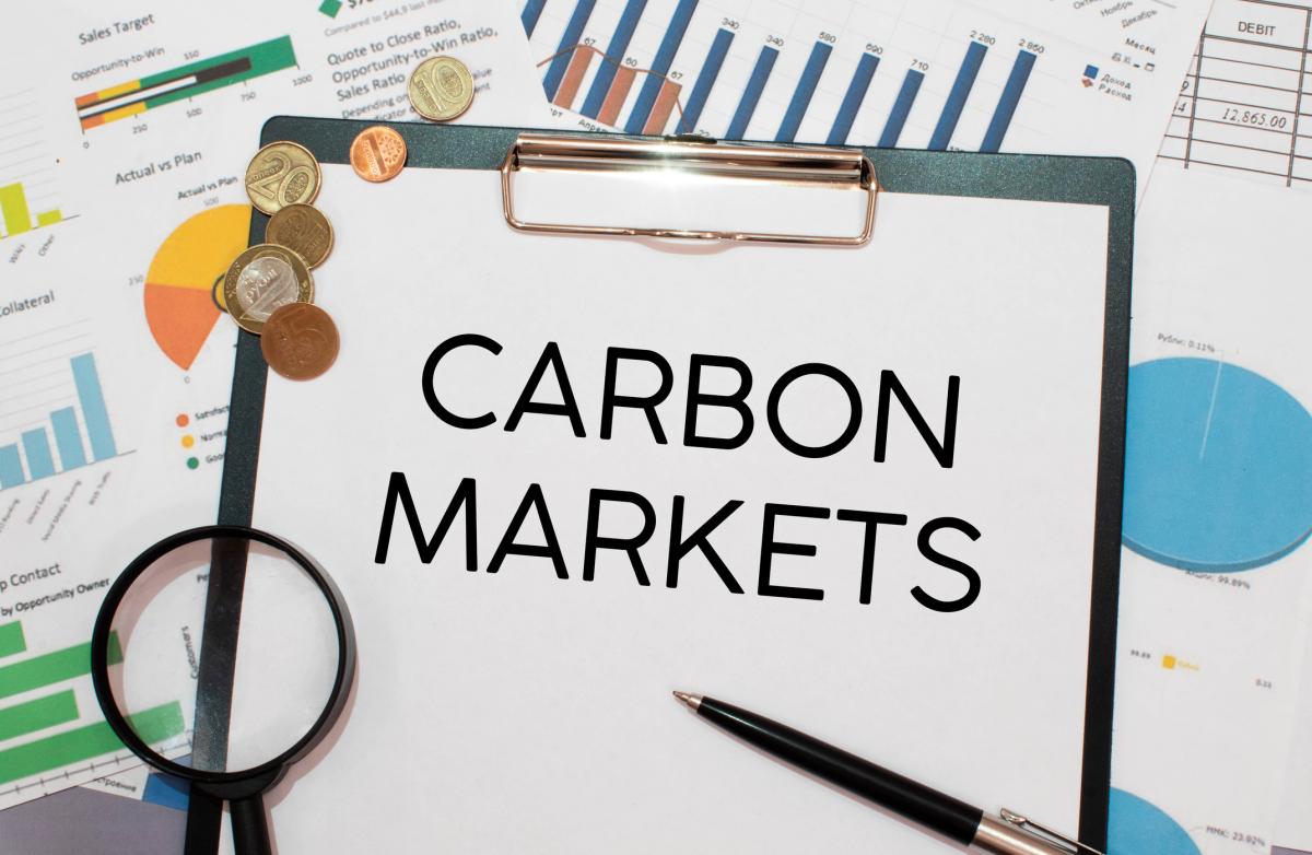 An Introduction to Carbon Markets