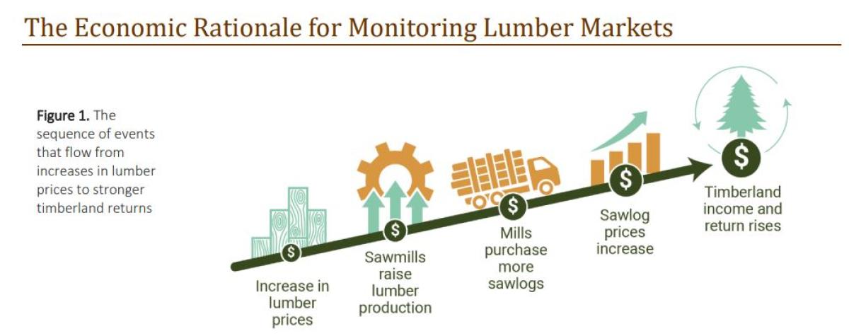 AllAboutAlpha | Exploring The Link Between Lumber Prices And Timber ...