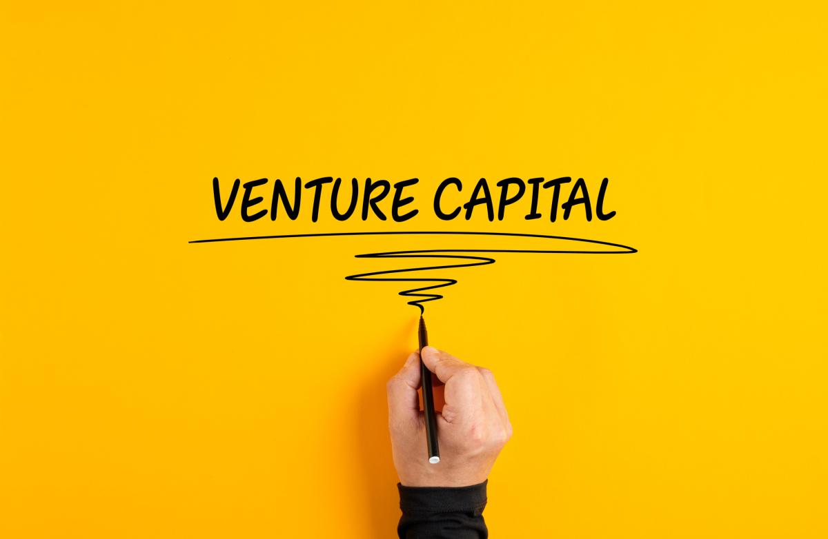 To Mark Down or Not: That's the Question VCs Face as Market Slump Persists