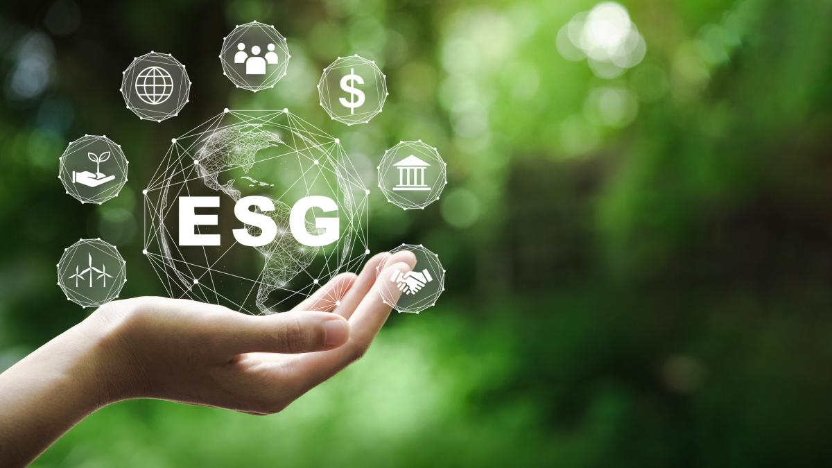ESG Integration in Private Debt