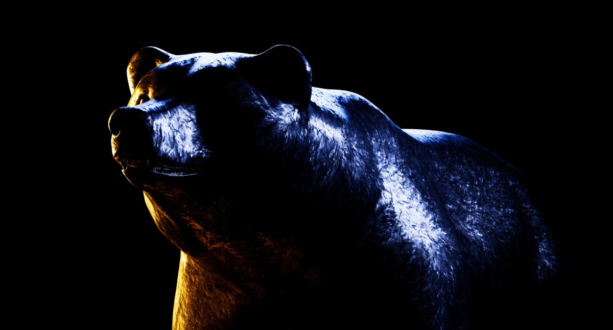 How to Protect a Stock Portfolio During a Bear Market