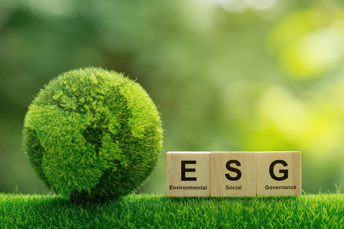 ESG: Complex in a Vague Sort of Way