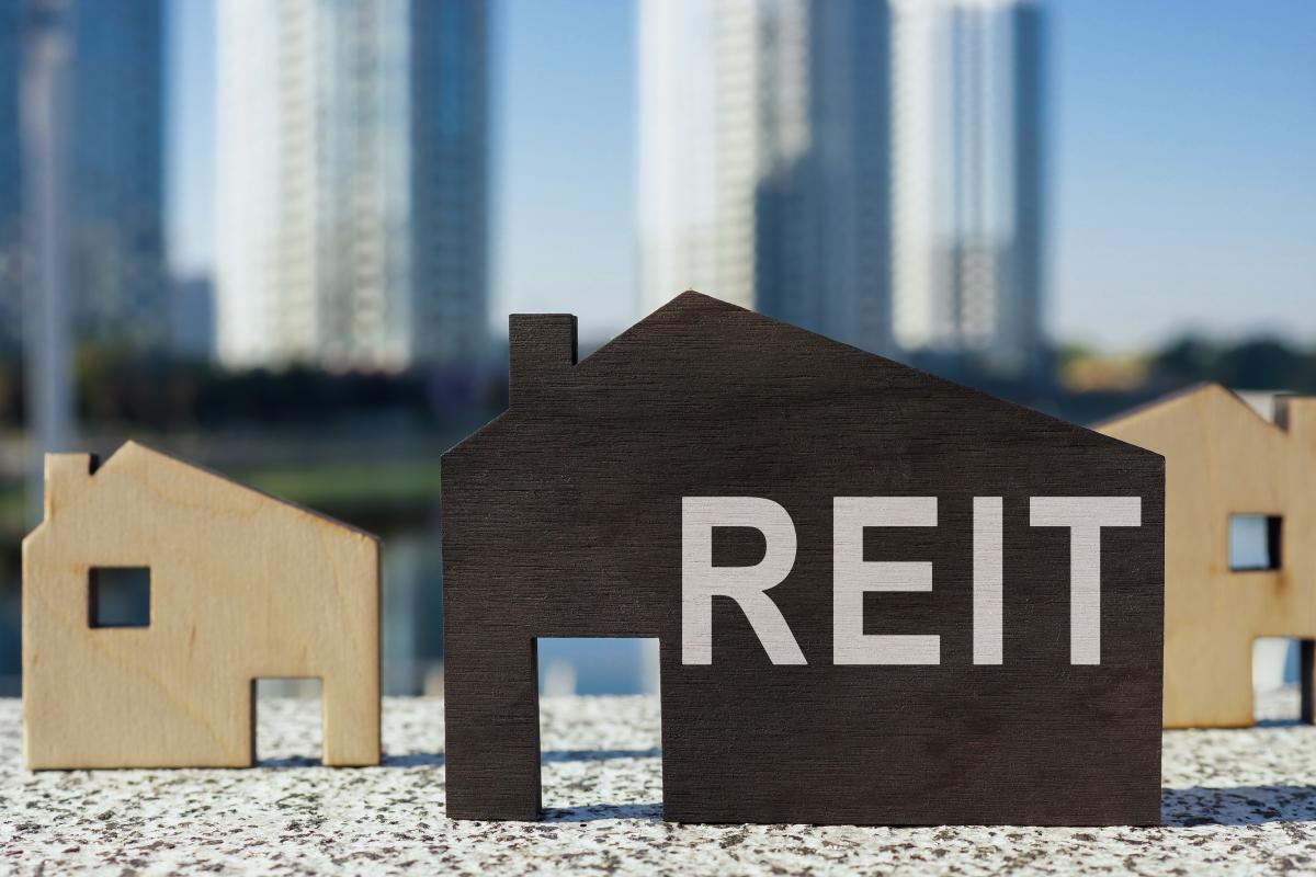 What You Own When You Own a Passive REIT Index?