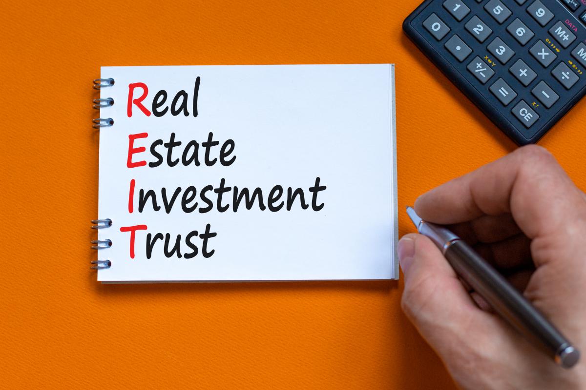 The REIT Reality for Private Investors