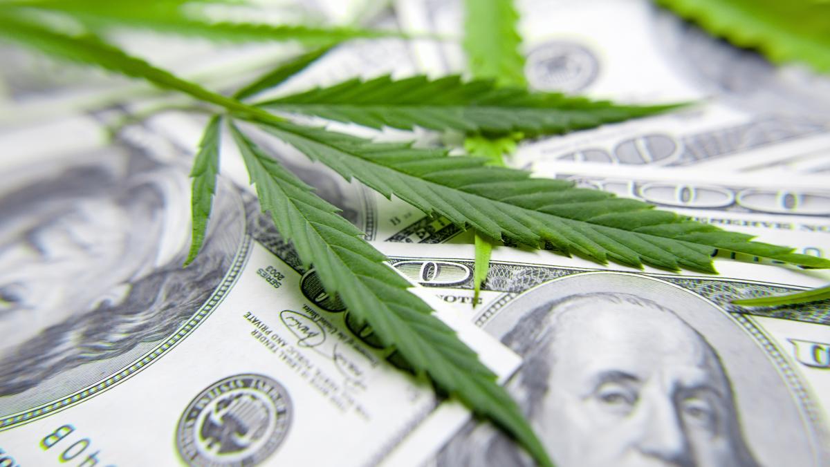 Assessing the Insurability of Cannabis Investments: A Due Diligence Checklist