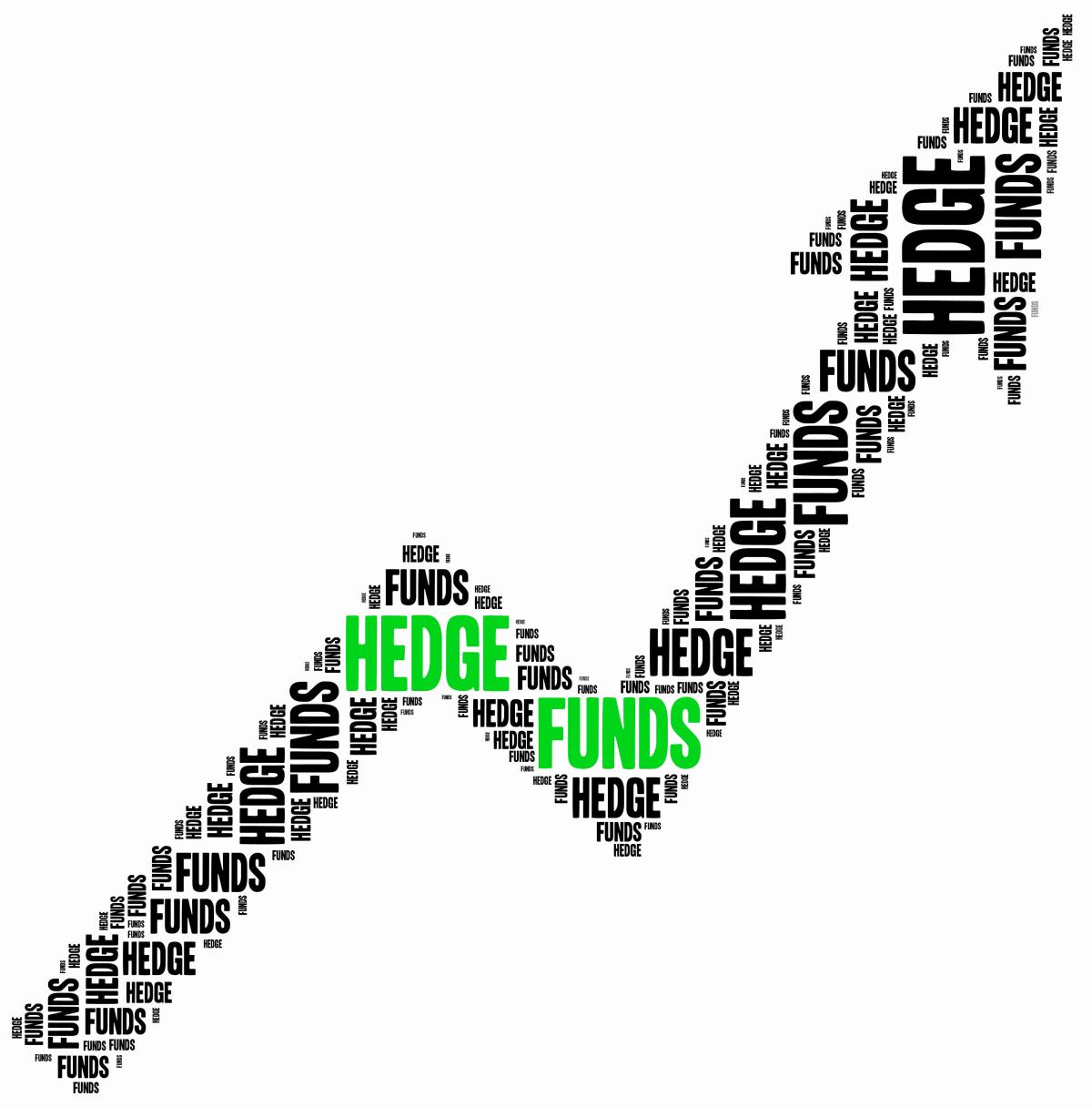 Evaluating Hedge Funds Through a Different Lens