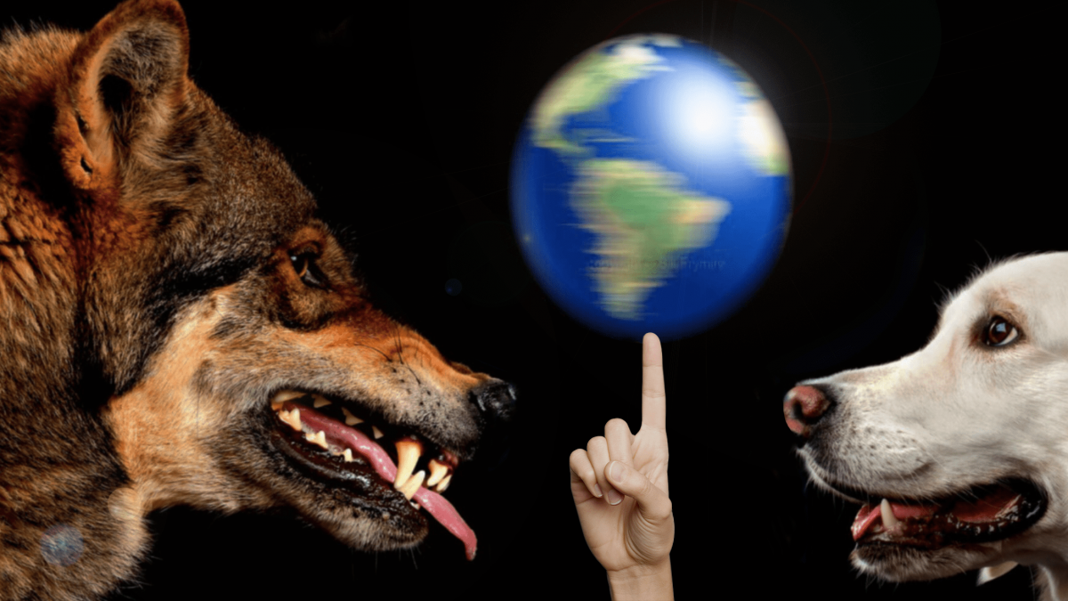 Climate: The ‘OUR’ Between Dog and Wolf