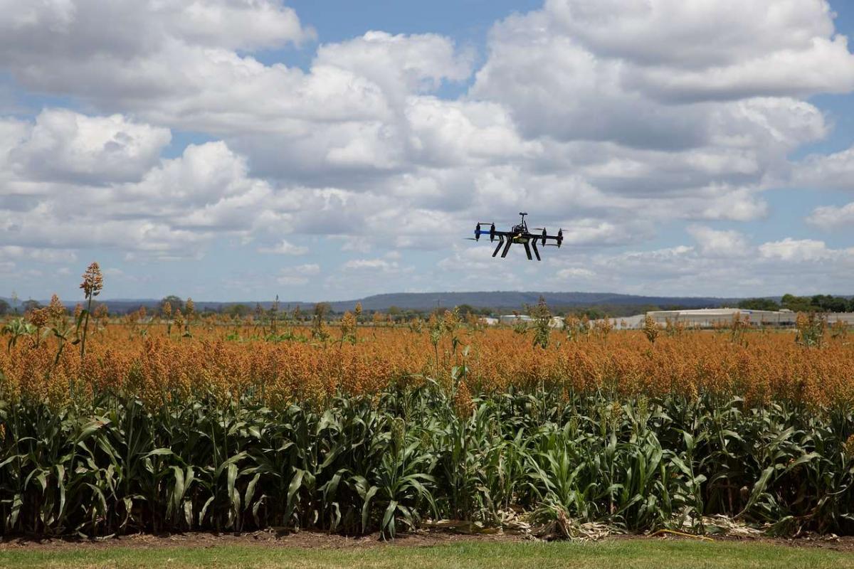 Agtech Investment and the Future of Food
