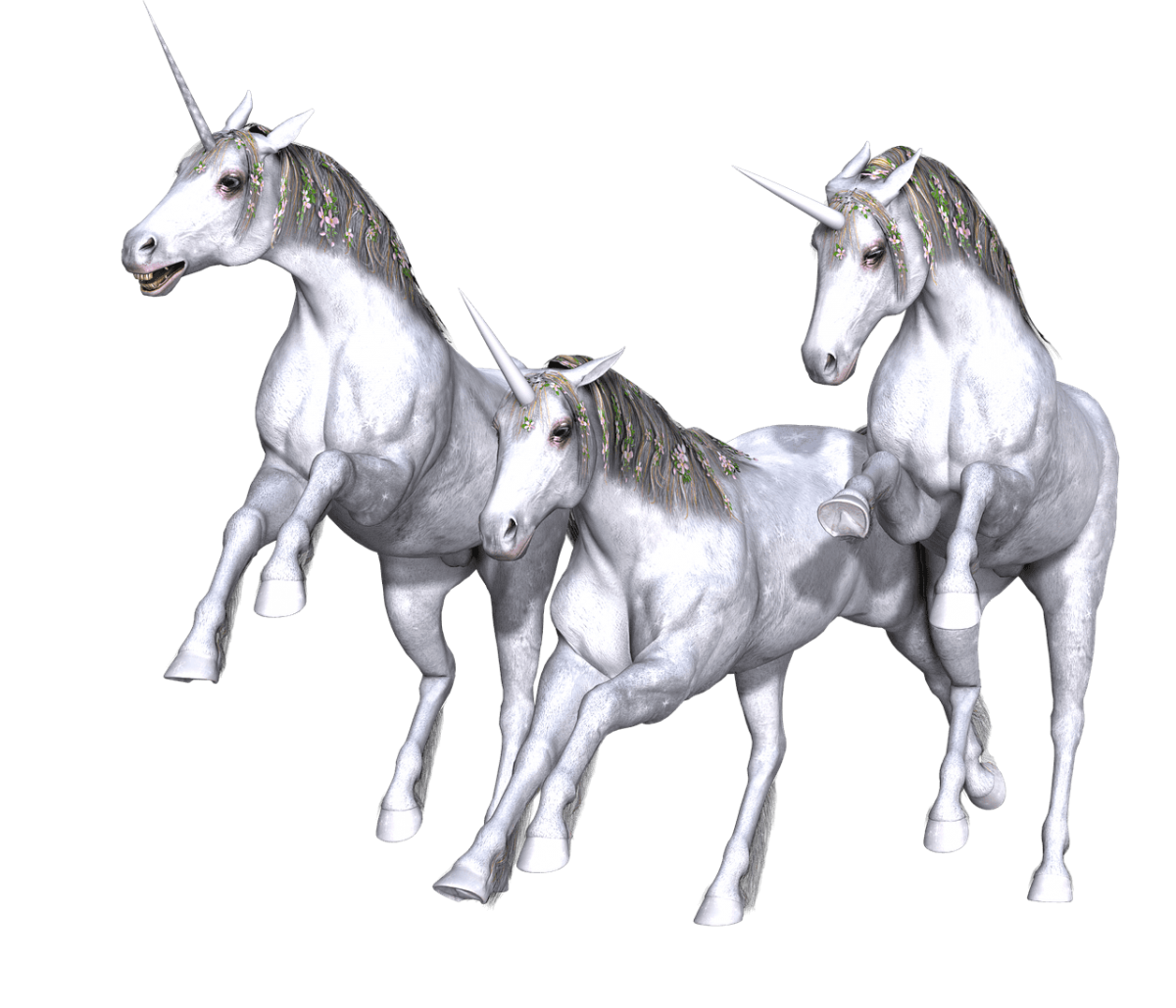 Can We All Participate in The Next Unicorn?
