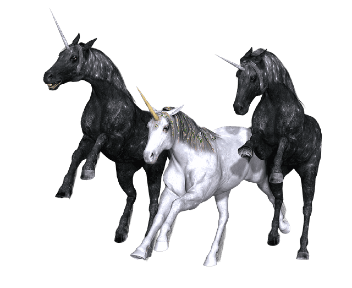 Pitchbook 2018 Report: Where are the unicorns?
