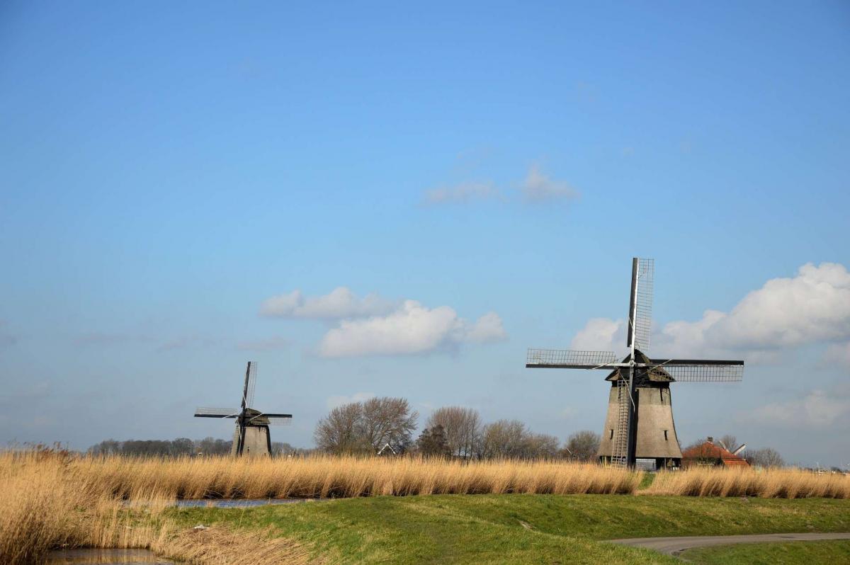 For The Netherlands: Sustainable Development Proposal